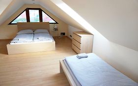 Rooftop Deluxe Apartment